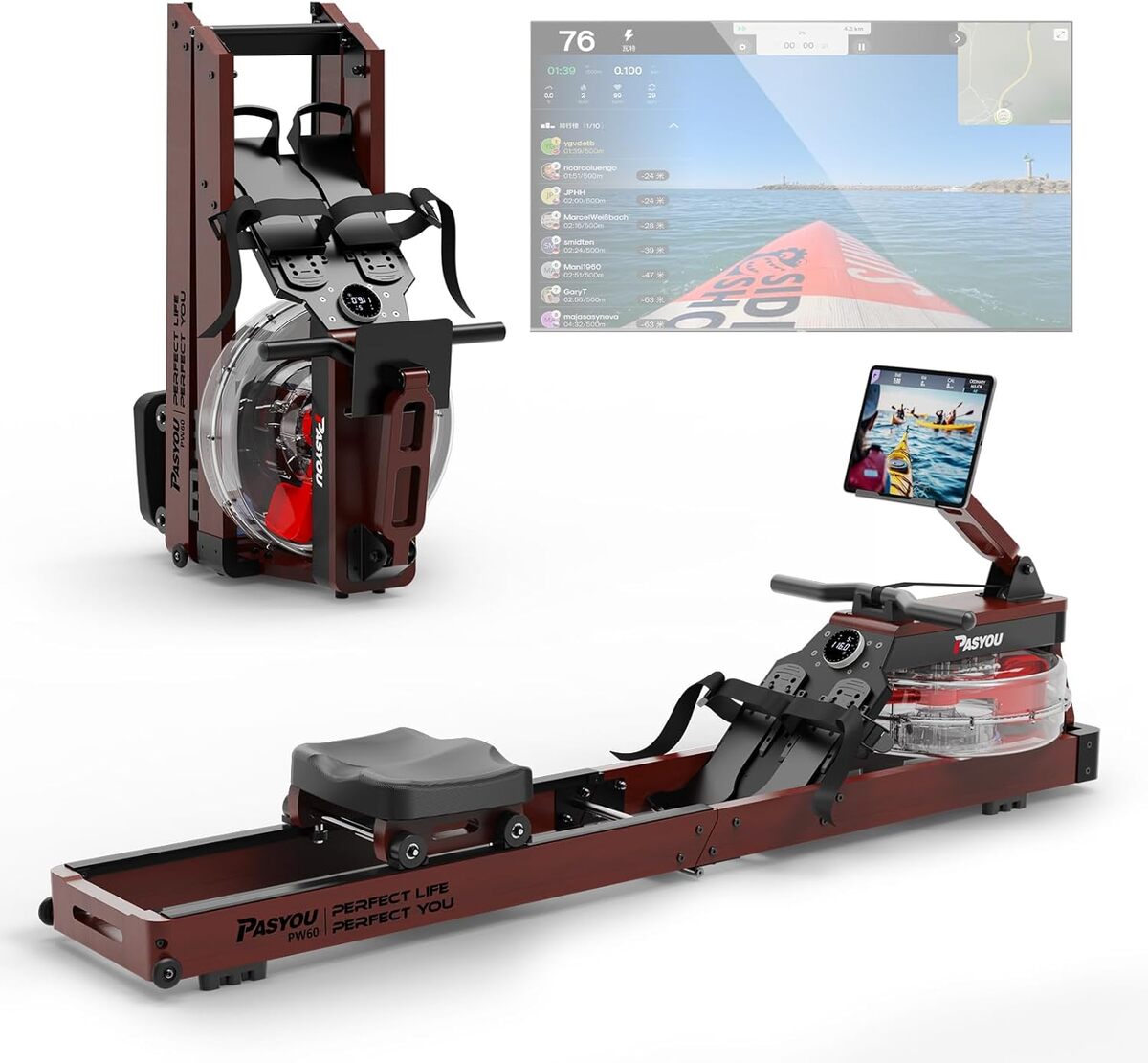 Test du rameur pliable en chêne PASYOU PW60 : performance et connectivité