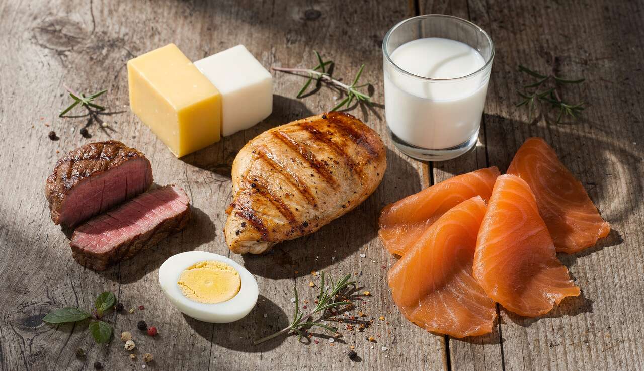 Les principales sources animales de protéines Les principales sources animales de protéines