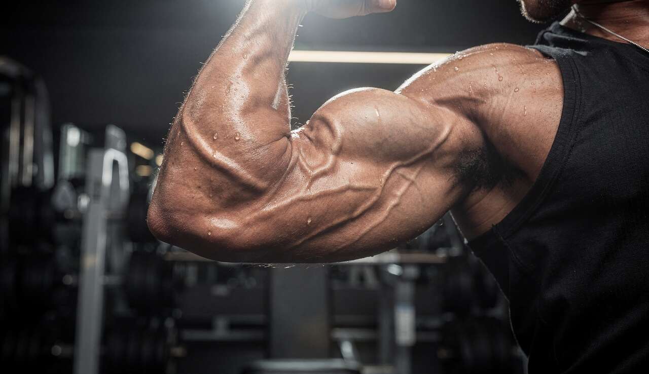 Programme d'entra&icirc;nement optimal : force et d&eacute;finition