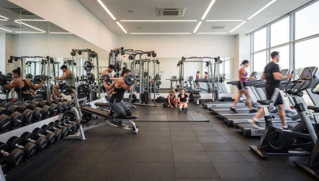 Entraînement full body, split, pPL ou upper/lower : quel format choisir ?